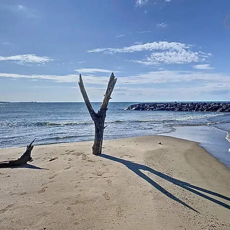 Petit Coin De Paradis Dans Avec Piscine *