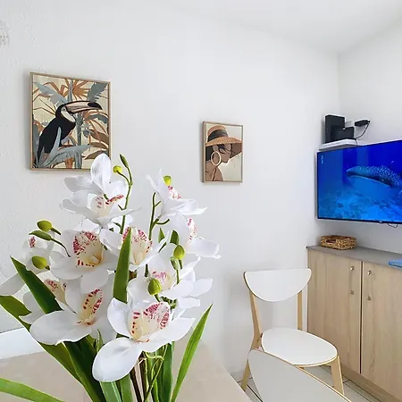 Petit Coin De Paradis Dans Avec Piscine